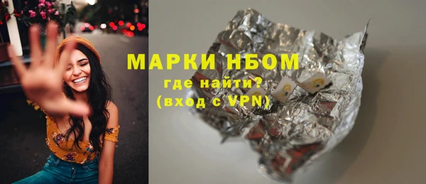 сатива Нефтекумск