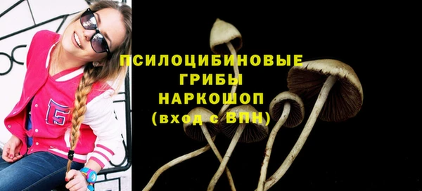COCAINE Новодвинск