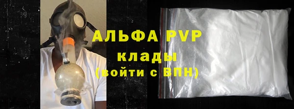 прущие грибы Нея