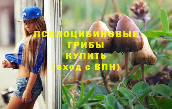 COCAINE Новодвинск