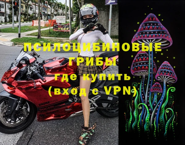 прущие грибы Нея