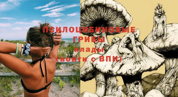 прущие грибы Нея