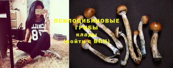 наркотики Белокуриха